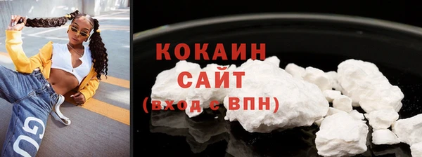 сатива Нефтекумск