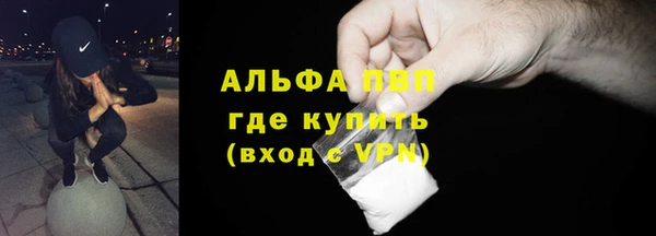сатива Нефтекумск