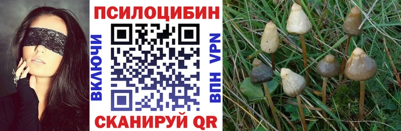 ссылка на мегу ТОР  Сызрань  Галлюциногенные грибы ЛСД 